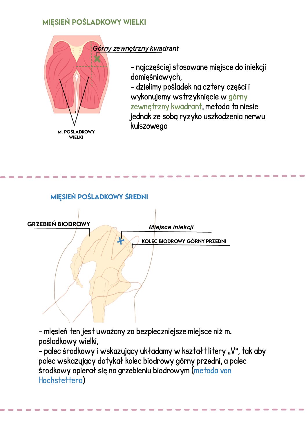 Pielęgniarstwo w pigułce | część 1
